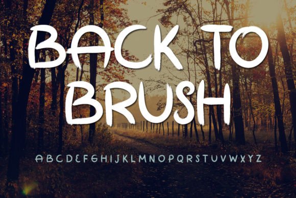 Back to Brush: The Handwritten Font for Scroll-Stopping Marketing