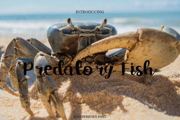 Predatory Fish: A Handwritten Typeface for Modern Web Design