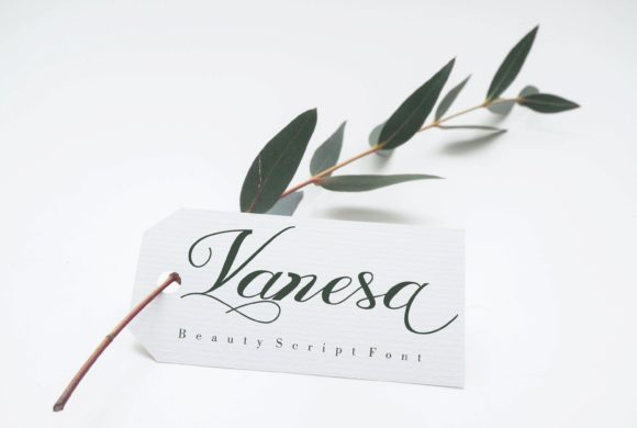 Vanesa Font Review: A Delicate Script for Modern Branding