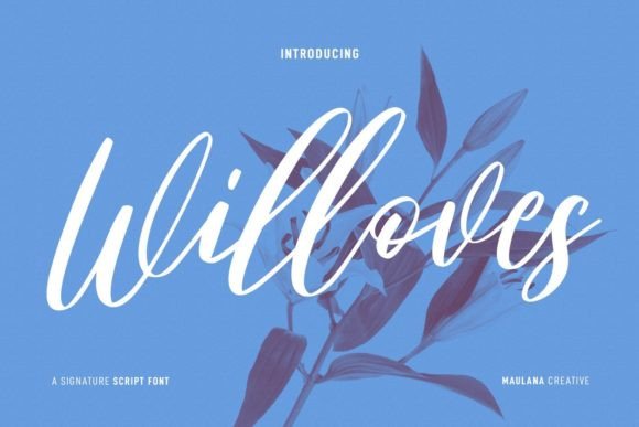 Willoves: A Flowing Script Font for Modern Web Design